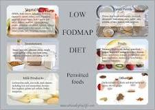 dieta menu pdf fodmap