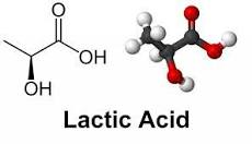 acido lactico vegano