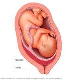 significa niño placenta posterior anterior