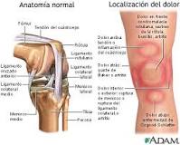 dolor rodilla significa izquierda biodescodificacion