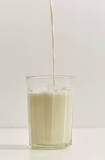 leche lactosa condensada