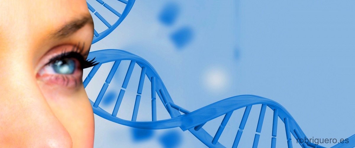¿Cómo se clasifica la genética humana?