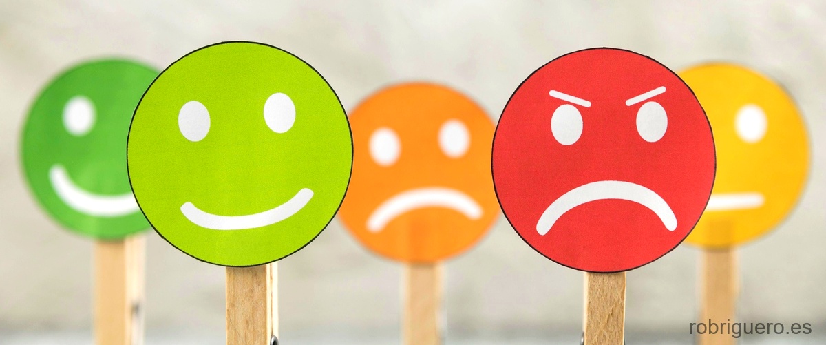 Las 6 emociones básicas: una guía para entender nuestros sentimientos