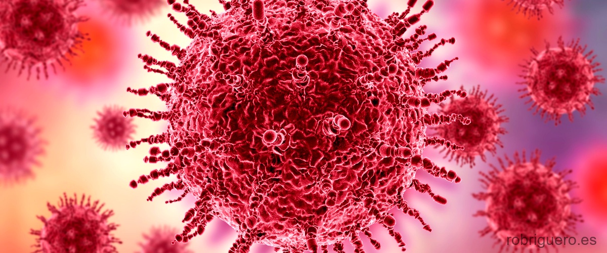 ¿Qué estructura afecta el VIH?